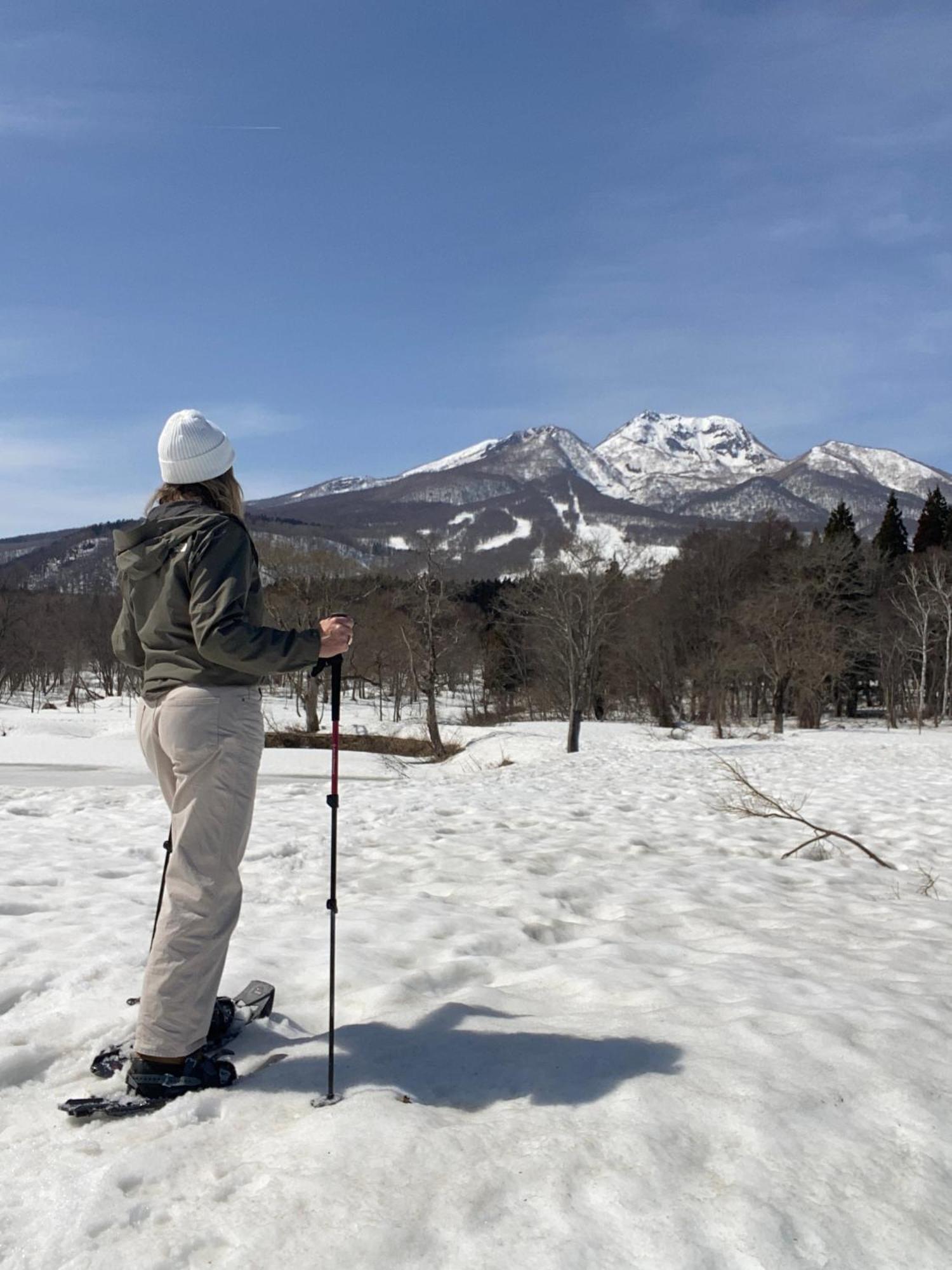 Myoko Forest Lodge エクステリア 写真