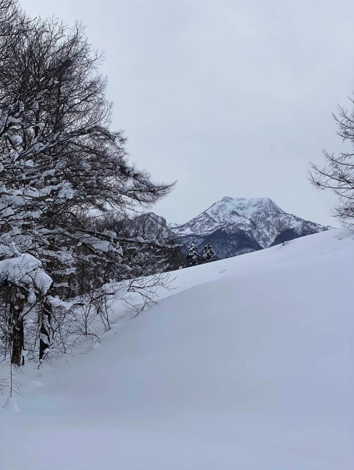 Myoko Forest Lodge エクステリア 写真