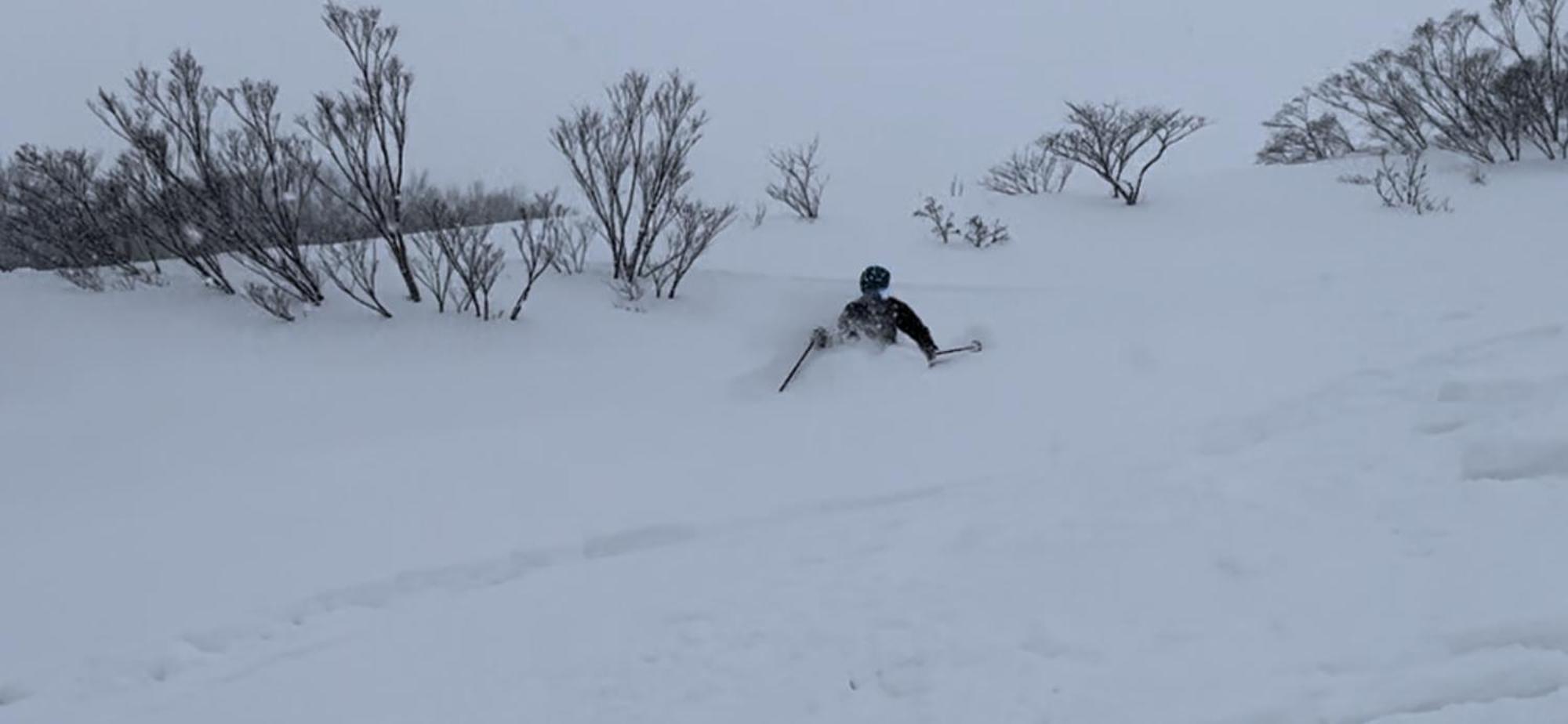 Myoko Forest Lodge エクステリア 写真