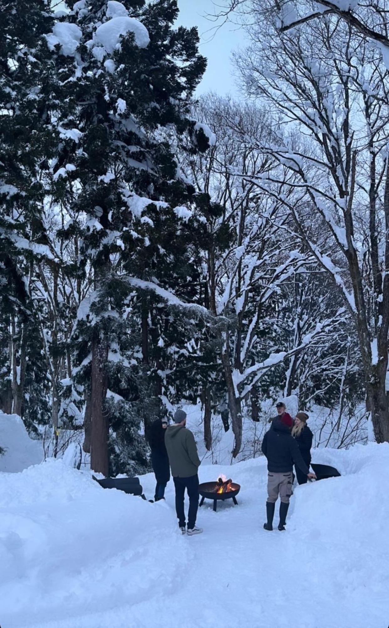 Myoko Forest Lodge エクステリア 写真